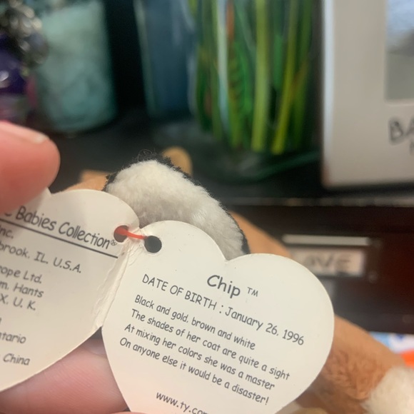 TY 4& 5 generation - Picture 4 of 8